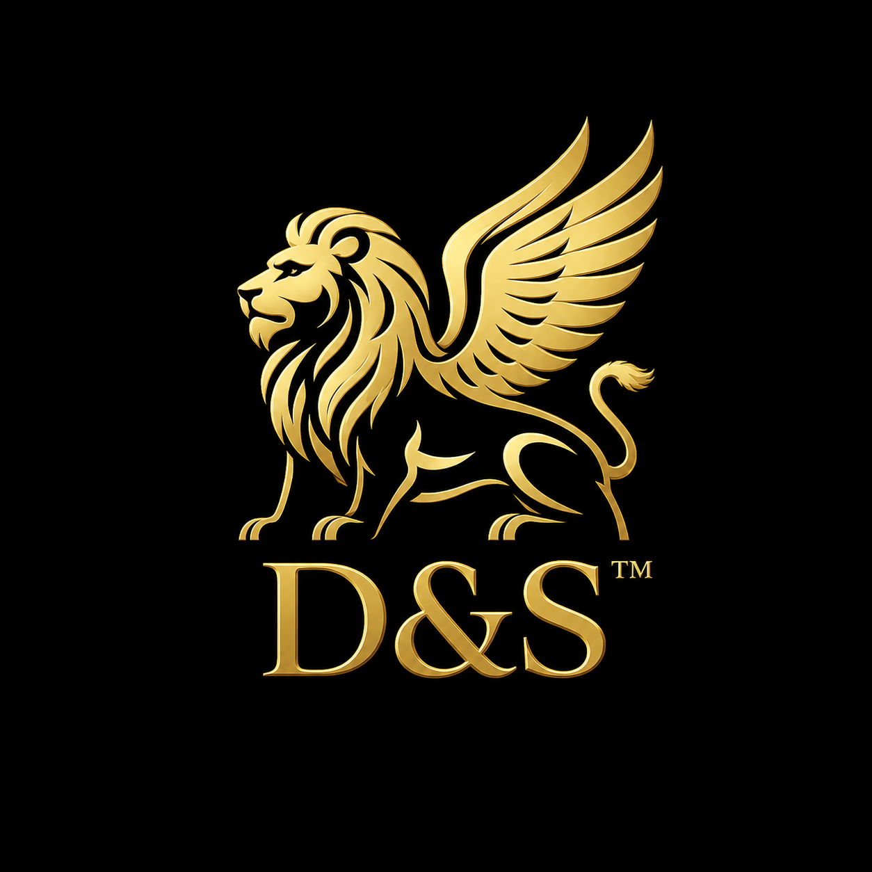 D&S publishing imprint logo